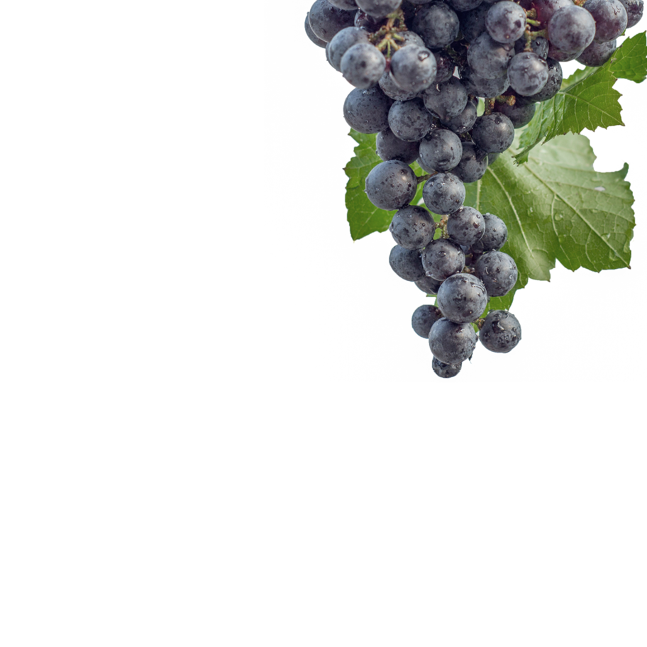 piemonte 2
