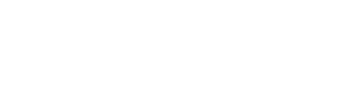 ICPI